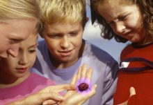 Multiplying Plague Buboes - No Longer Performed in the Health Conscious Kid Show Magic Market